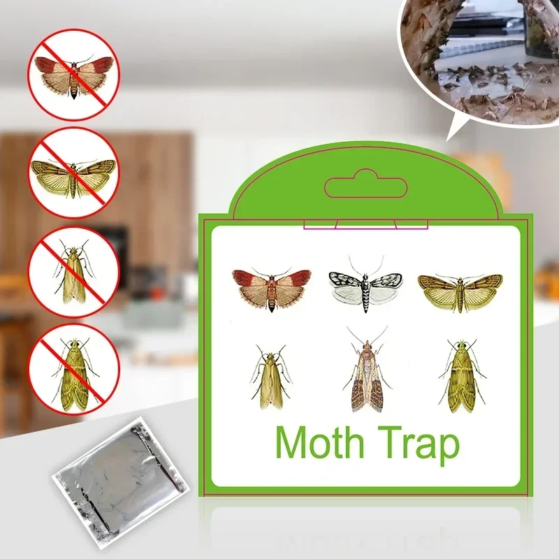 1/2/3/6/12PCS Pantry Kitchen Flies Food Indian Meal Moths Catcher Attractant Sticky Glue Killer Pheromone Moth Trap