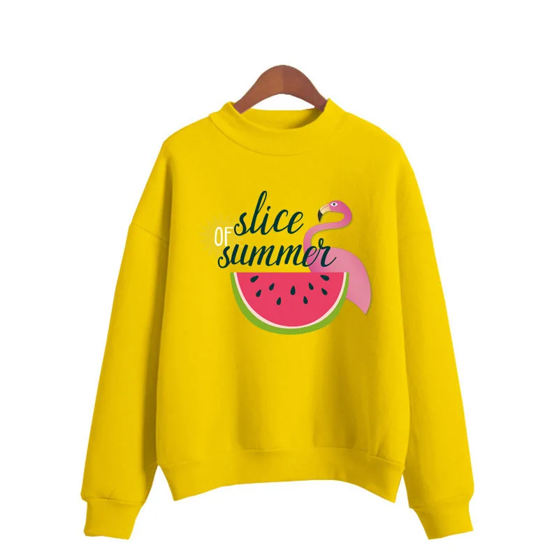 Lente Herfst Fleece Sweatshirt S-4XL Leuke Vrouwen Trui Top 16 Kleuren Casual Losse Effen Dikke Hoodie Vrouwelijke Groothandel