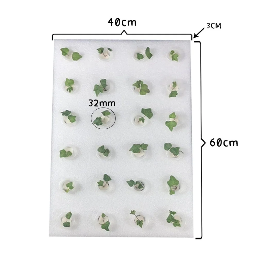 Indoor Garden Starter 24 Holes Sponge Tray For Compact Indoor Spaces Hassle-free Setup Design Robust Plastic Material