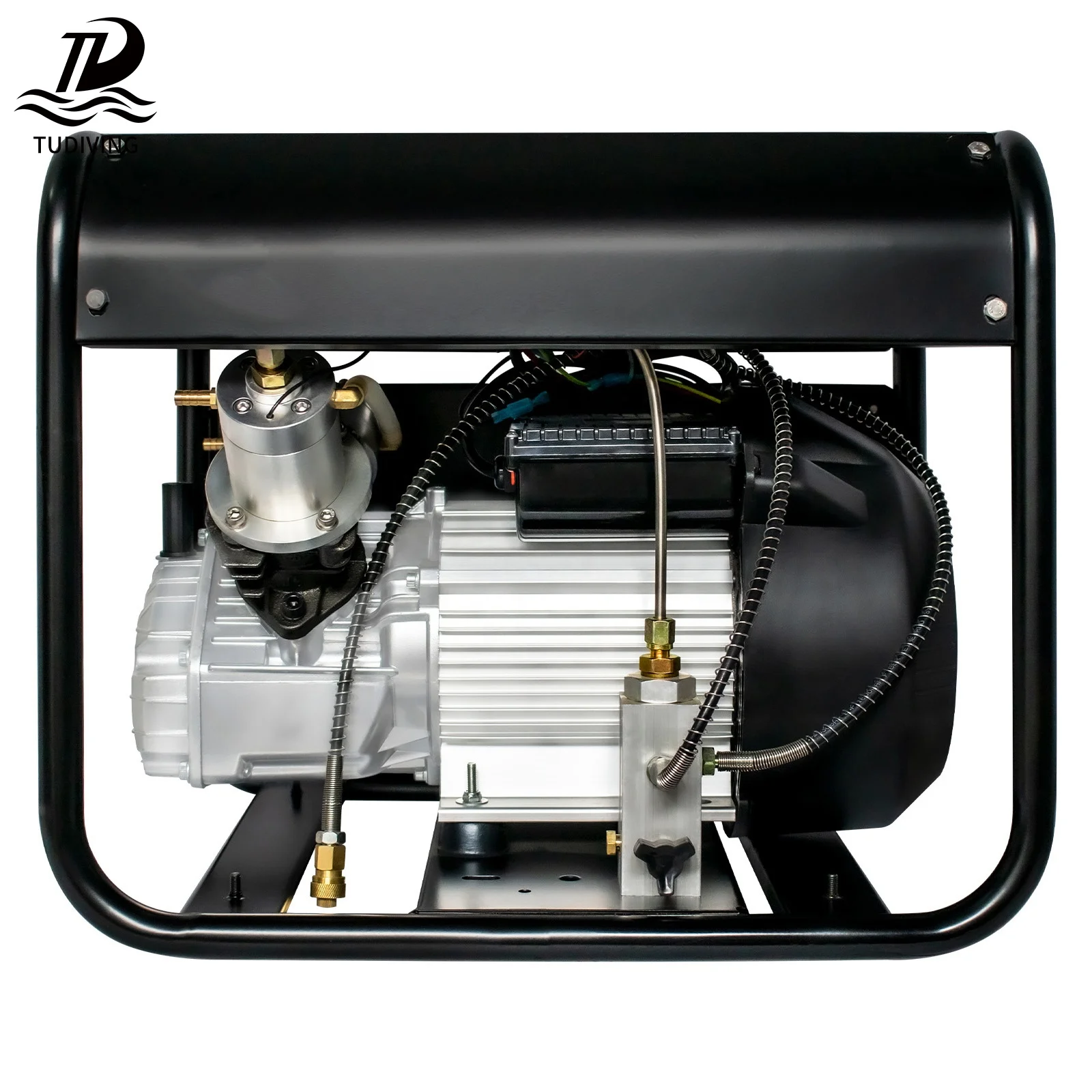 TUDIVING High Quality High Pressure Double Cylinder Auto Stop Electric 220V 2.2KW 4500psi 30Mpa Hunting Diving Air Compressor