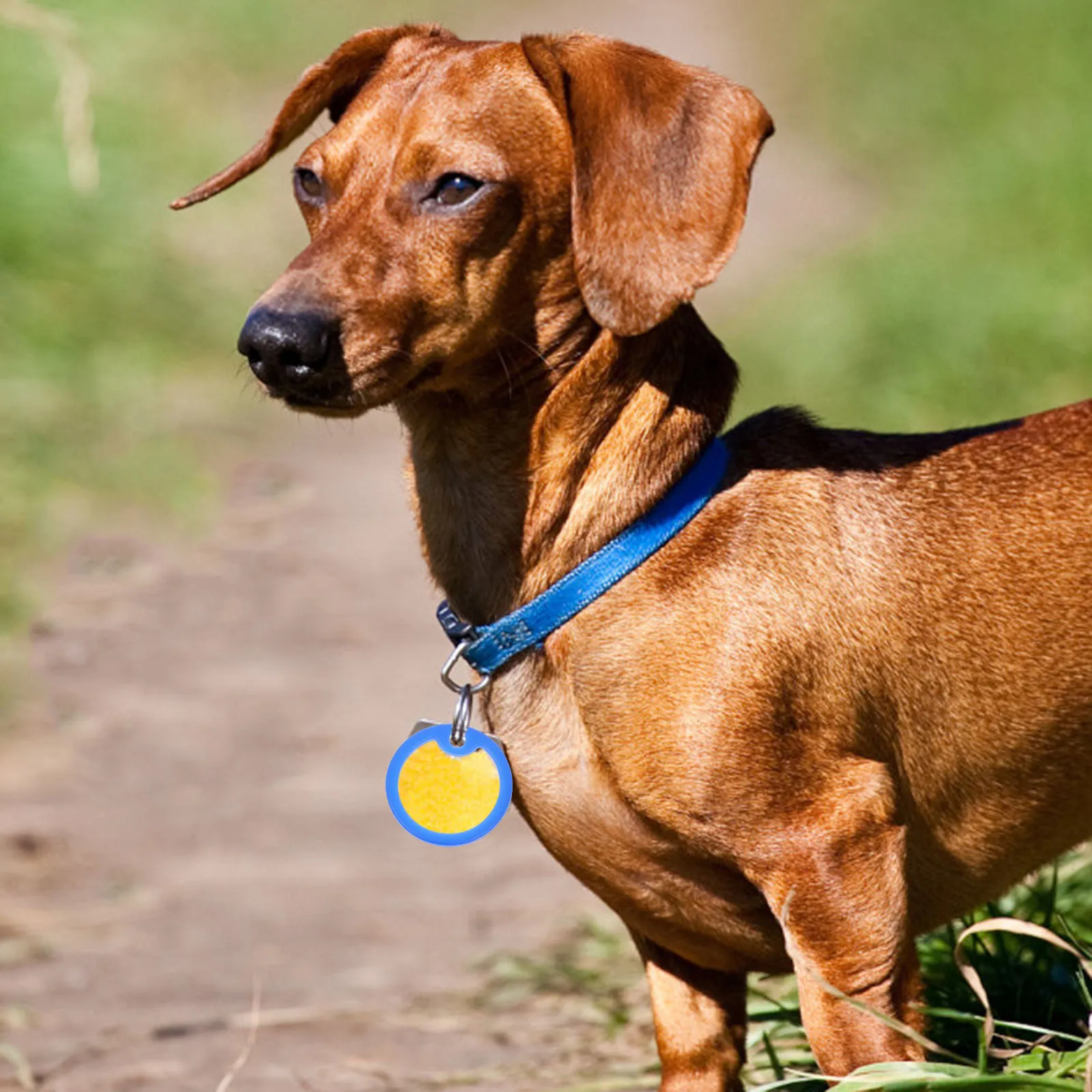 6 protectores de silicona para placas de identificación de perro, fundas suaves antiruido, cubiertas silenciosas para collares de mascotas, accesorios para silenciar collares de perro