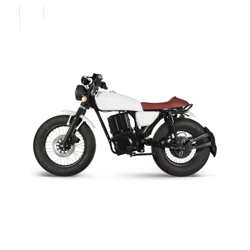 

2025 New Style High Performance Electric Motorcycle 3000W Hub Motor Speed 90km/h 40A Lithium Battery Life 90km