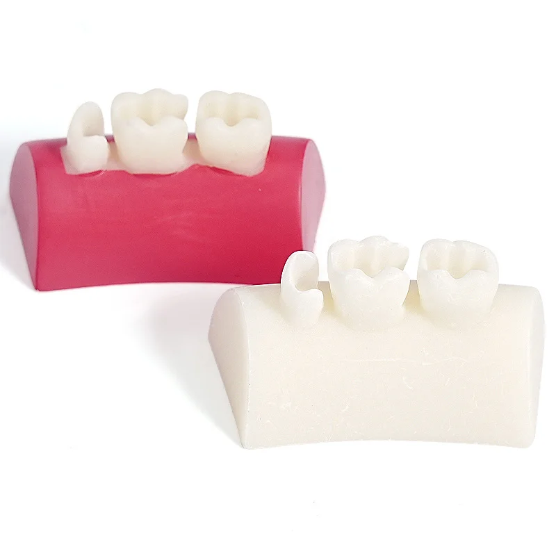 1pc Oral dental models, white and red resin practice dental models, teaching dental model consumables, dental filling models