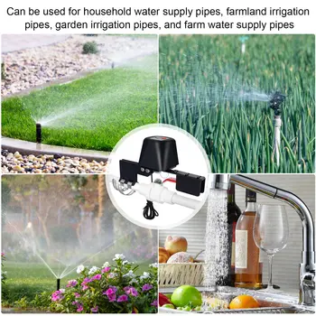 6 最佳銷售 塗鴉閥 - №2