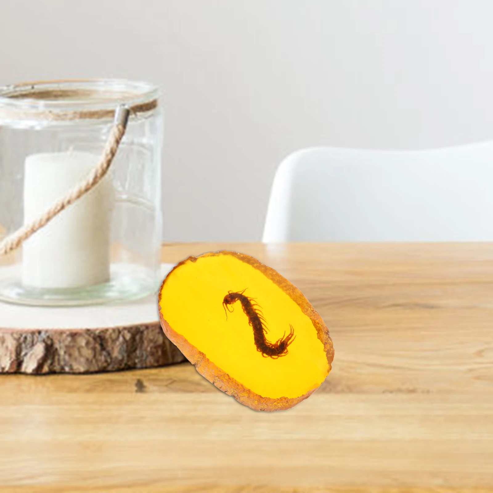 

Pendant Insect Specimen nament Decor Charm Jewelry Stone Accessories Golden Necklace Travel Gift Wax