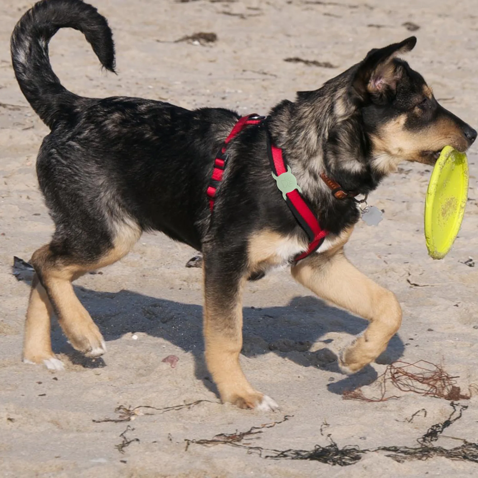 

Pet Anti-lost Protective Cover Locator Protection Accessory Small Case Water Proof Holder Reliable