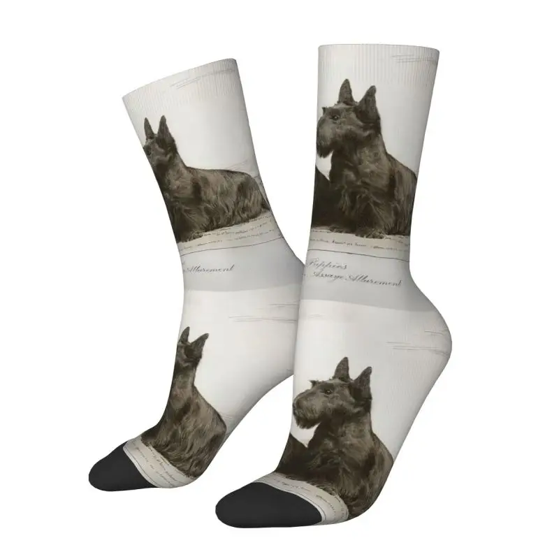 Vintage Scottish Terrier Dog Men\'s Crew Socks Unisex Kawaii Scottie Pet Lover Spring Summer Autumn Winter Dress Socks