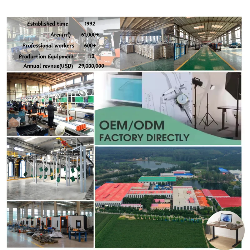 رفع سريع 25 مم / ثانية الشركة المصنعة تخصيص ارتفاع كهربائي قابل للتعديل مكتب محرك مزدوج الدائمة مكتب حل أثاث المكاتب المنزلية