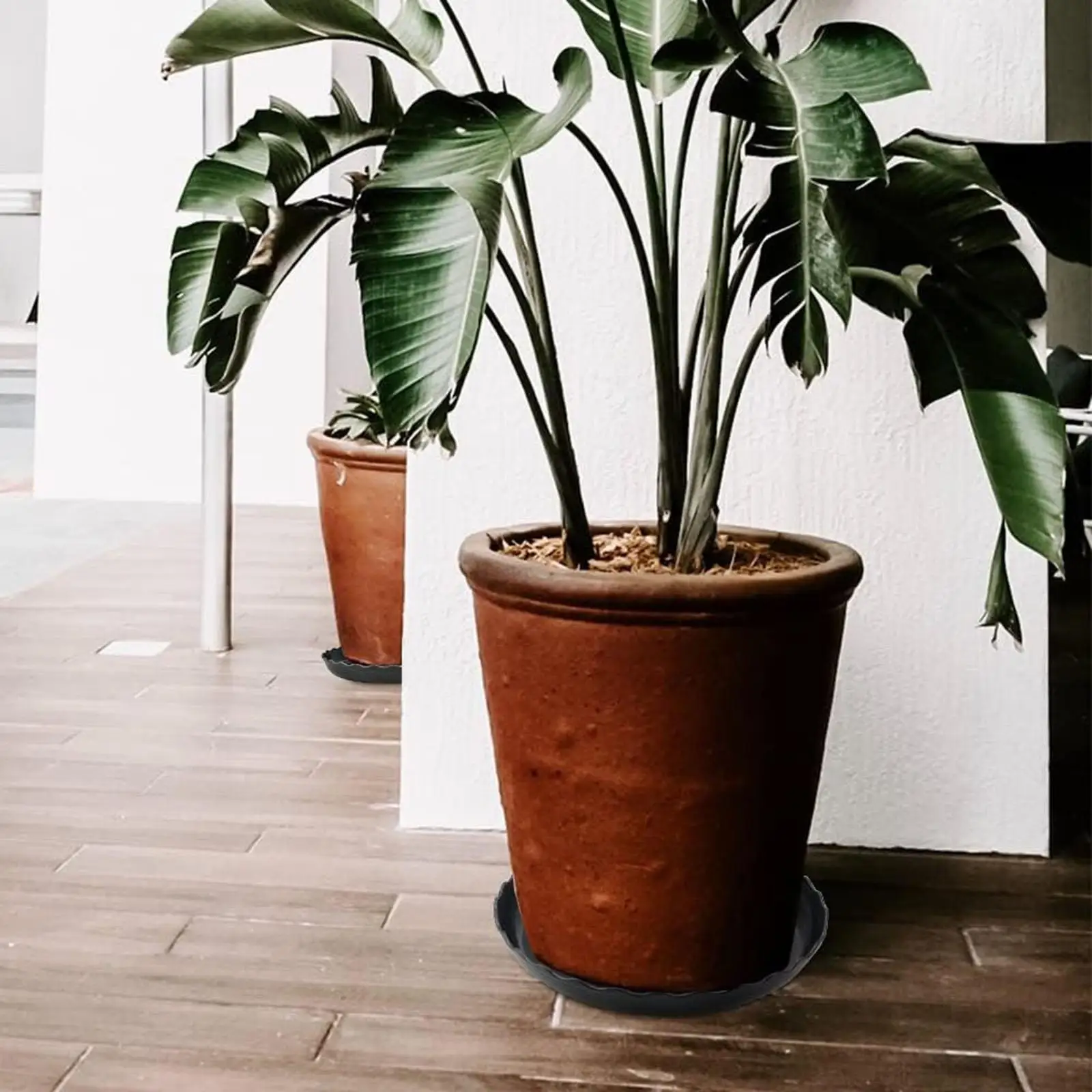 

Пластиковые поддоны для растений, прочные подставки для цветочных горшков, круглые поддоны для кашпо для двора, офиса, домашнего декора