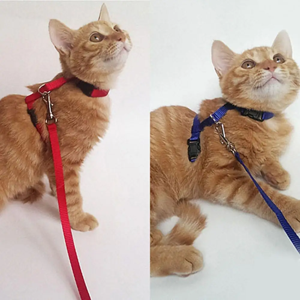 4 Color Adjustable Pet Cat Collar For Cats Cozy Nylon Rabbit Kitten Kedi Harness Leash Set Dog Cat Accessories Products For Pets