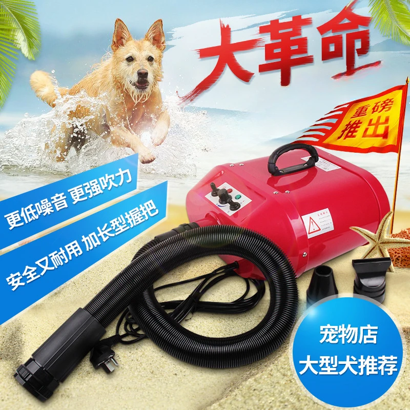 Pet store cat dog large dog golden retriever stepless variable speed heating hair dryer