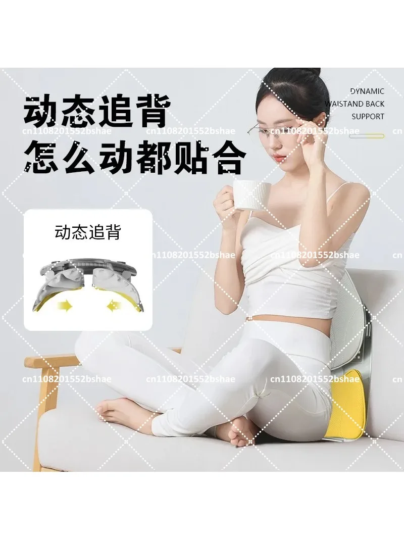 Ergonomic Lumbar Support Cushion for Office Chair and Car Seat, Lower Back Comfort for Long Sitting