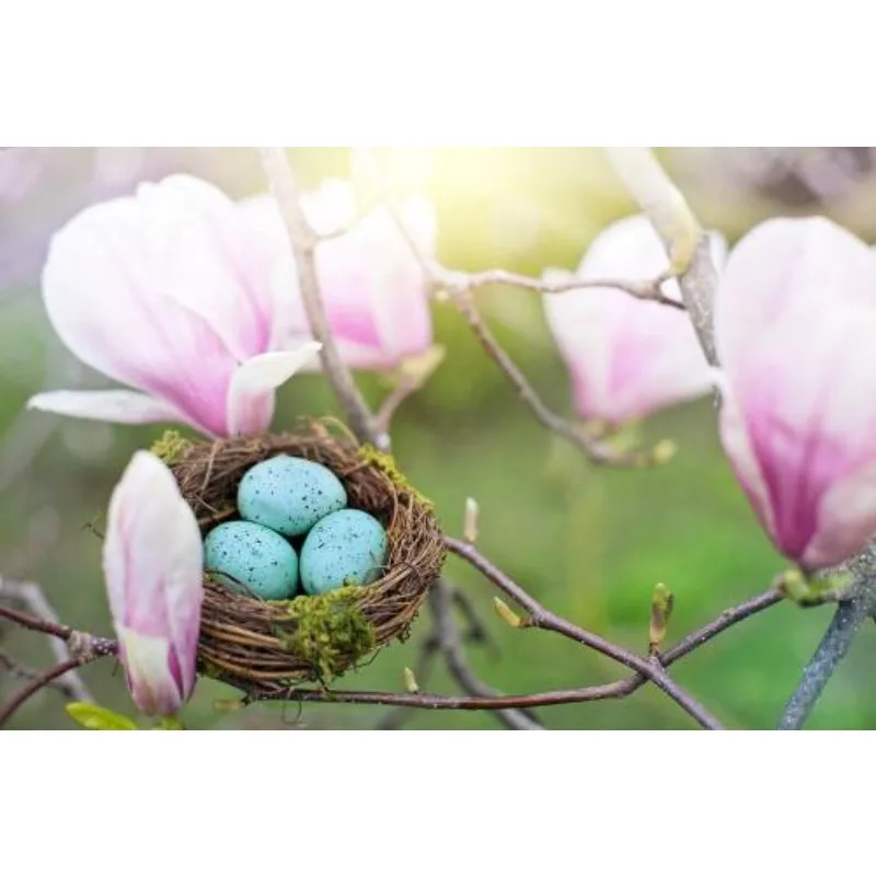 

Hobbywing EZRUN 1626 SD Brushless Motor Sensored 3500 5000 6500KV with MINI28 30A ESC for 1/28 Scale GL Racing Drift Car