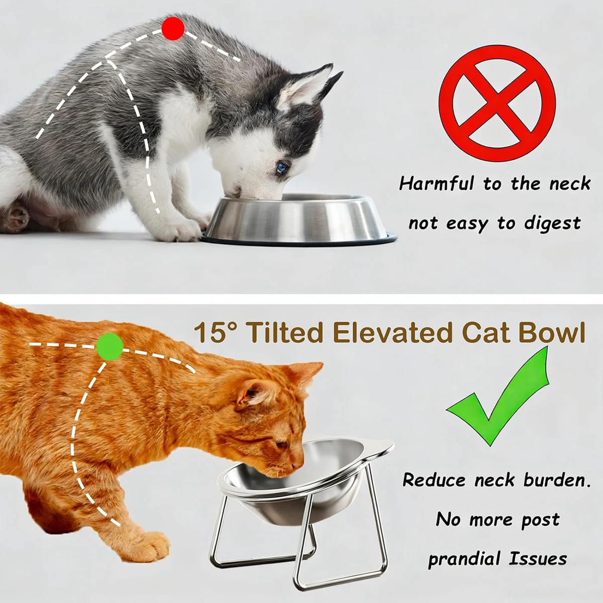 Thumbnail 3 - #17 Cheap Pet Bowls Worth Buying