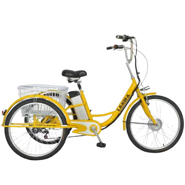 Electric Bicycle 24 Inch 3 Wheel Electric Trike Adults 250W Motor 48V20AH Electric Tricycles Mens 3 Speed Transmission E-bicycle