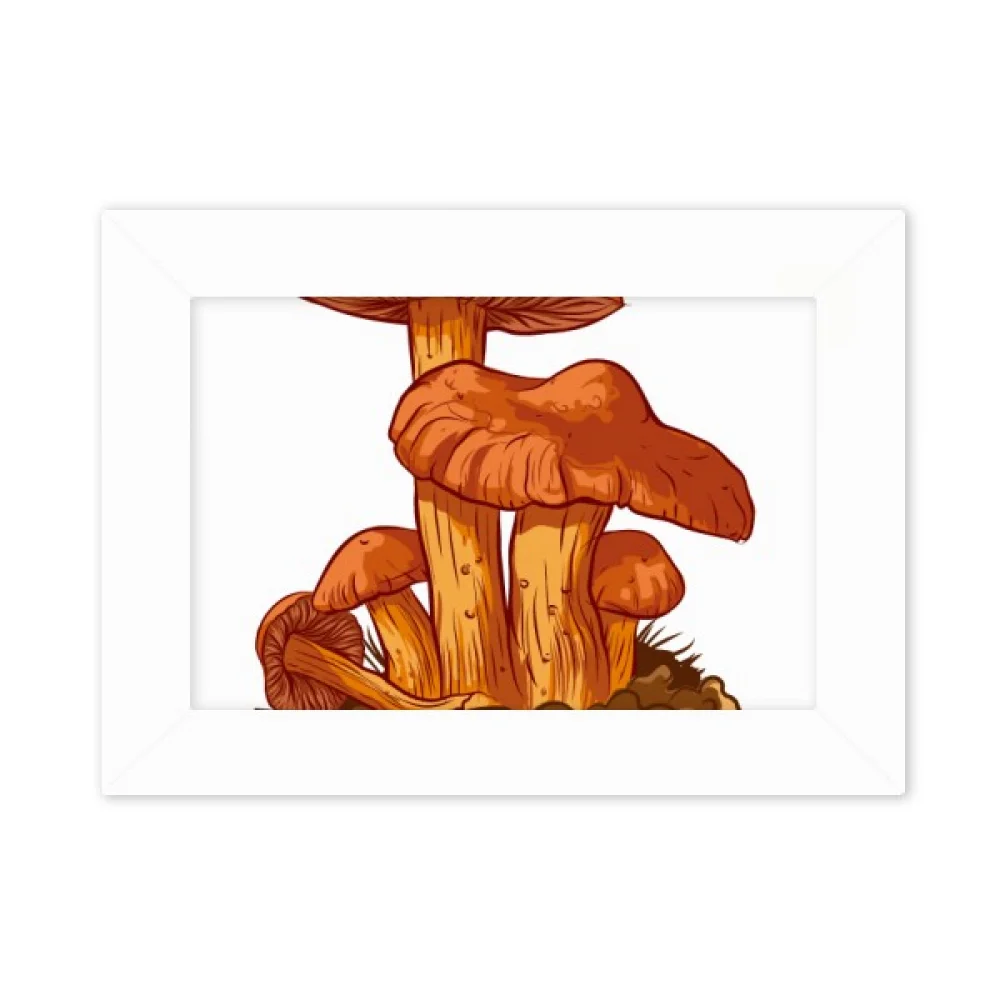 Cute Orange Mushroom Creature Illustration Photo Mount Frame Picture Art Painting Desktop 5x7 inch