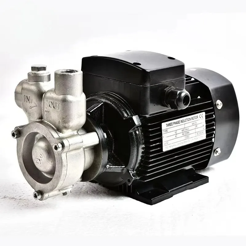 SS304/316/2205 core vortex pump with PLC 220V micro bubble pump for water filtration systems and wastewater treatment