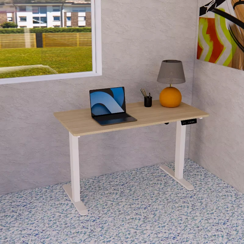 Modern Adjustable Electric Desk Ergonomic Metal Height Adjustable Standing Office Desk with Frame