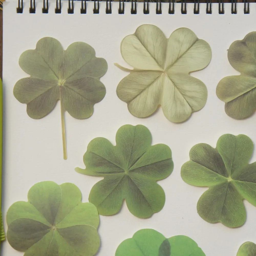 

30 Sheet Four Leaf Clover Paper Design Craft Paper Gift Decoration Scrapbooking Handmade DIY