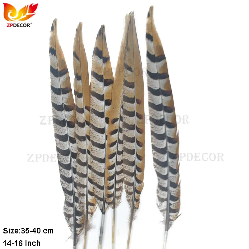 

Natural Pluma 35-40CM 14-16 Inch Reeves Venery Pheasant Feathers