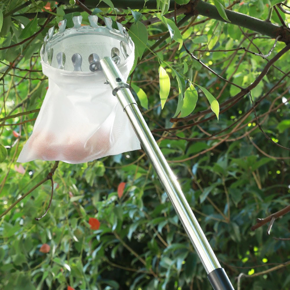 

Стержень из нержавеющей стали, инструмент для сбора высоких фруктовых садов, инструмент для сбора фруктов, ловушка для фруктов для яблок, манго, лимона, апельсина