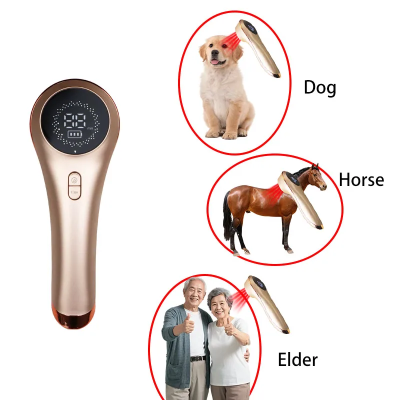 

STLFFactory Golden Handheld LaserssBeauty and Health Care Device Intelligent LaserssDevice Set Is Suitable for Pet Elderly Peopl