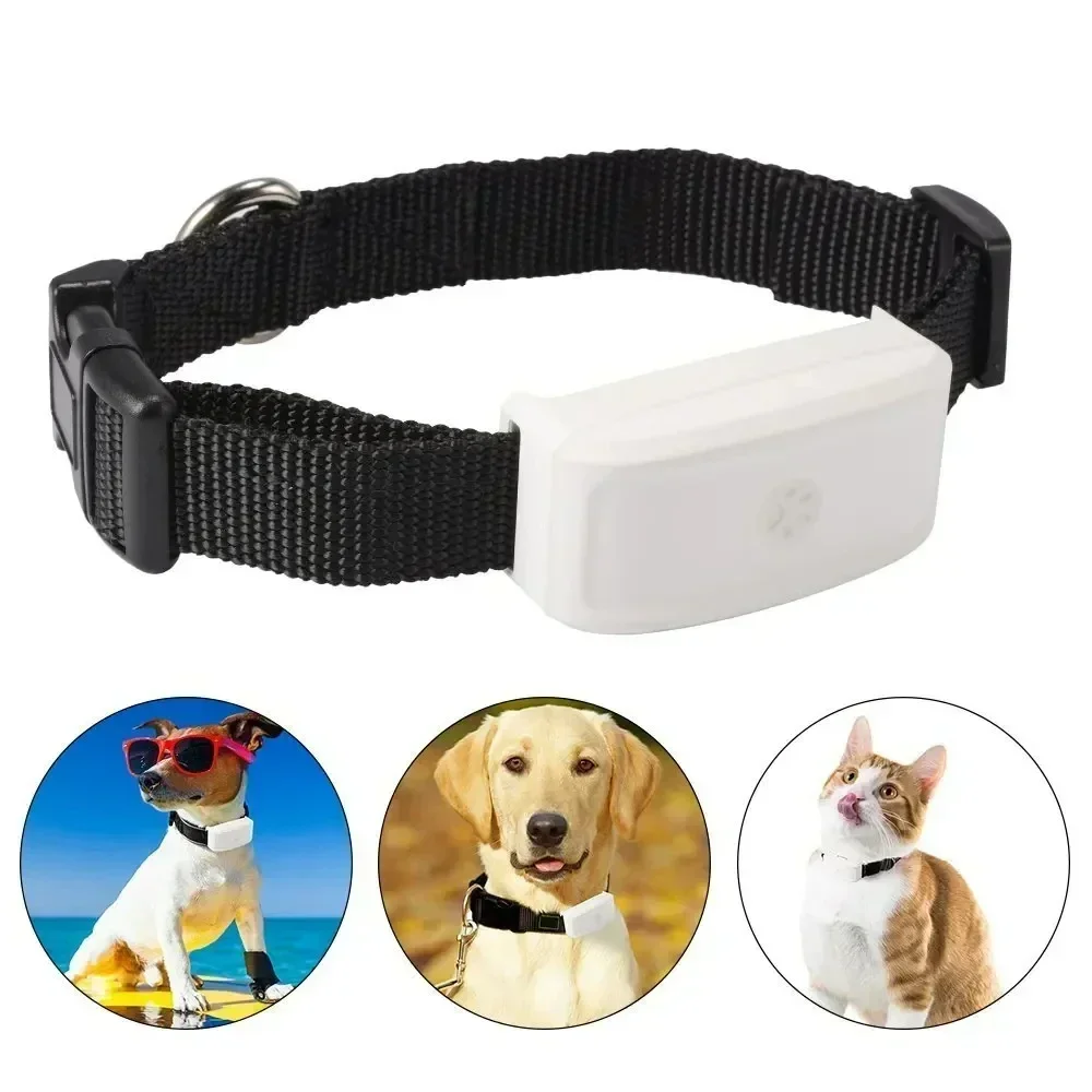 2G GSM Mini Anti Lost Pets Tracker with Free APP, GPS Tracker Pet GPS Locator IP67 Waterproof  SOS Alarm for Dog Cat New Arrival