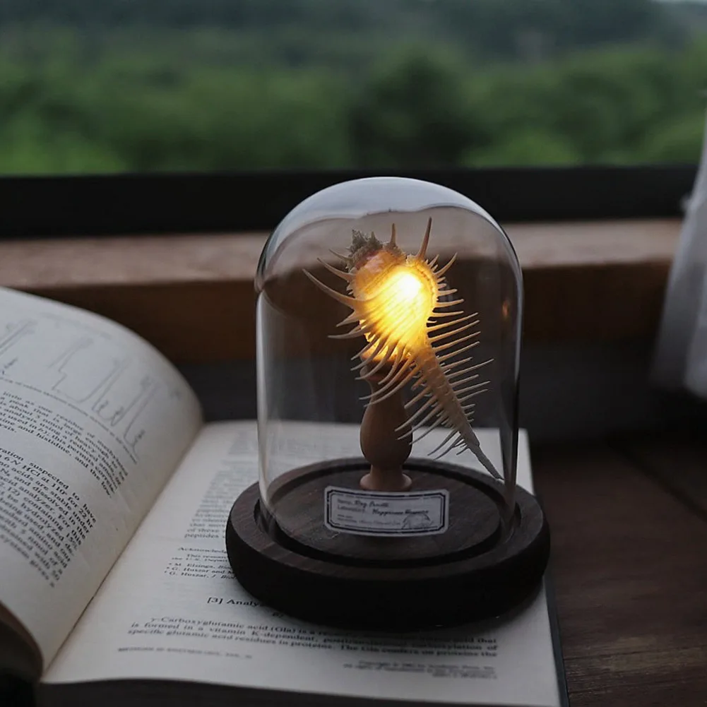 DIY Sea Urchins Night Light Mini LED Lamp Soft Lighting Flicker Free Nightstand Lamp Creative Home Decor Great Present Idea