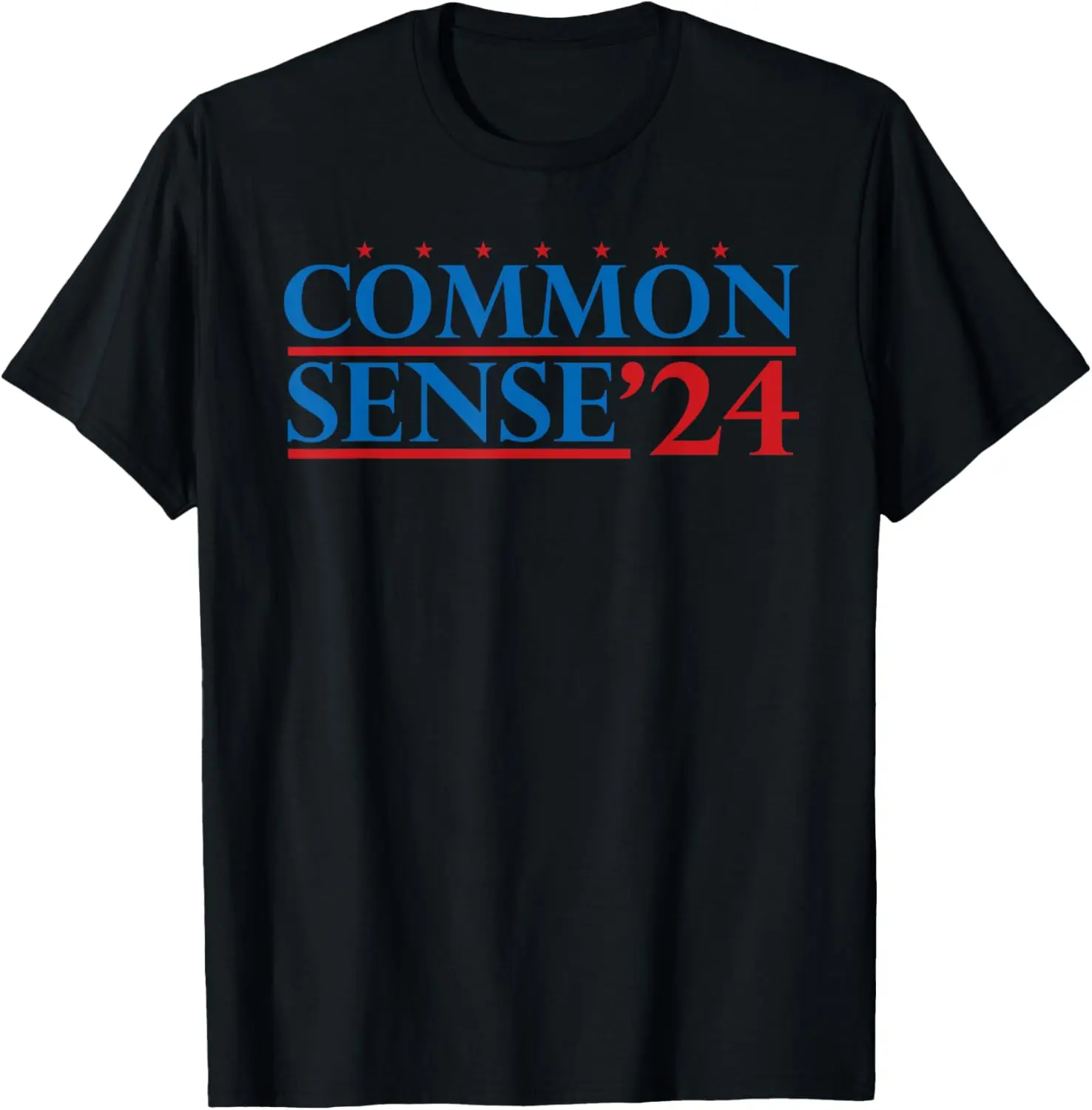 Common Sense 2024 Election Campaign Political Funny T-Shirt