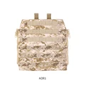 AOR1
