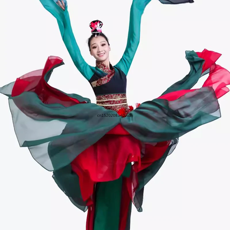 Traje de Baile Folclórico chino tradicional para mujer, Ropa de baile Yangko para adultos, elegante bordado, ropa de práctica de rendimiento