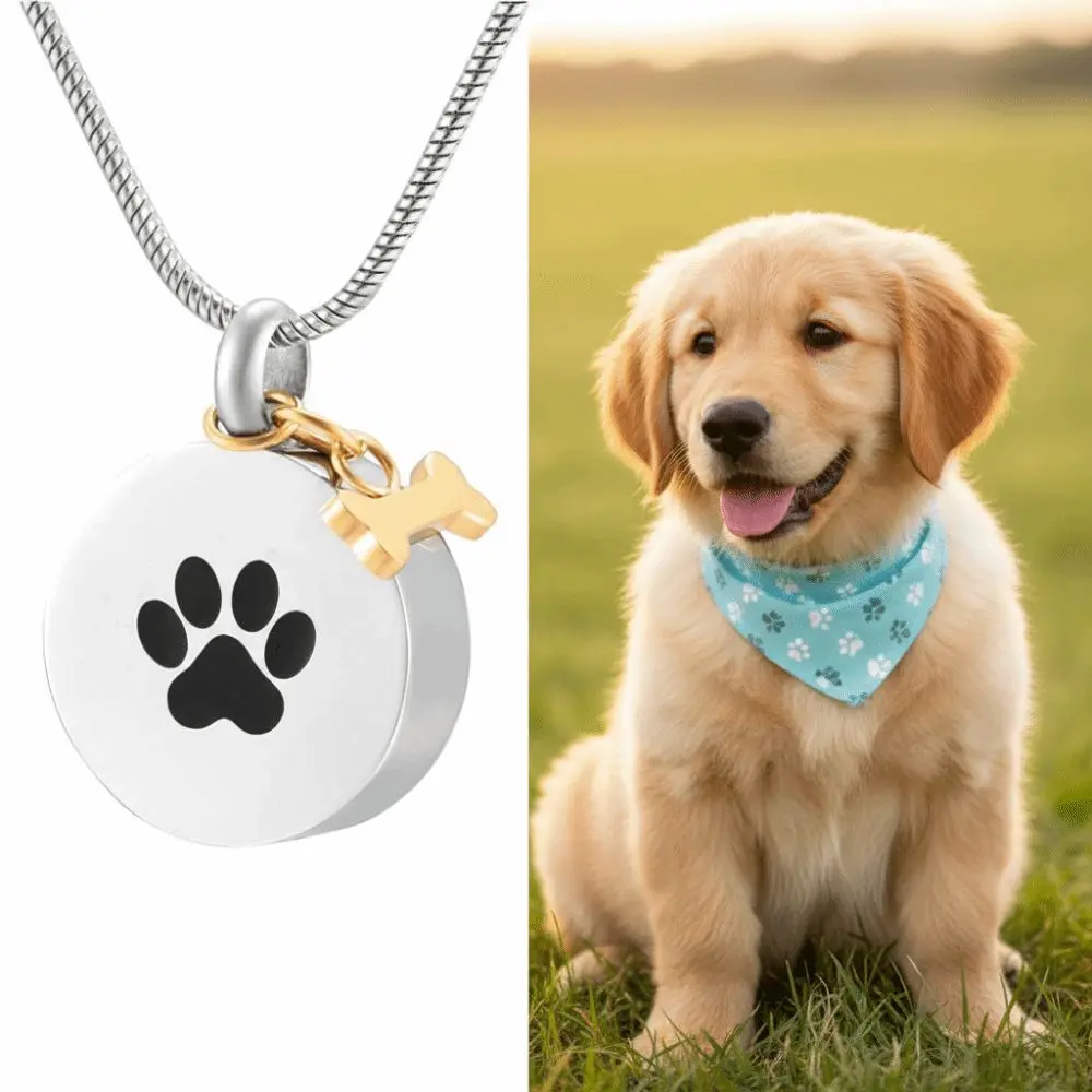 Cute Paw Print Urn Necklace Stainless Steel Opeanable Cremation Jewelry Round Dog Bone Ashes Memorial Pendant Keepsake