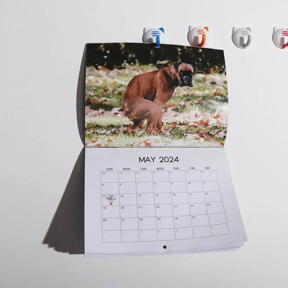 Weekly Schedule Dog Poop Calendar New Year Decor Cute Funny Wall Calendar Simplicity Paper 2024 Calendar Anniversaries