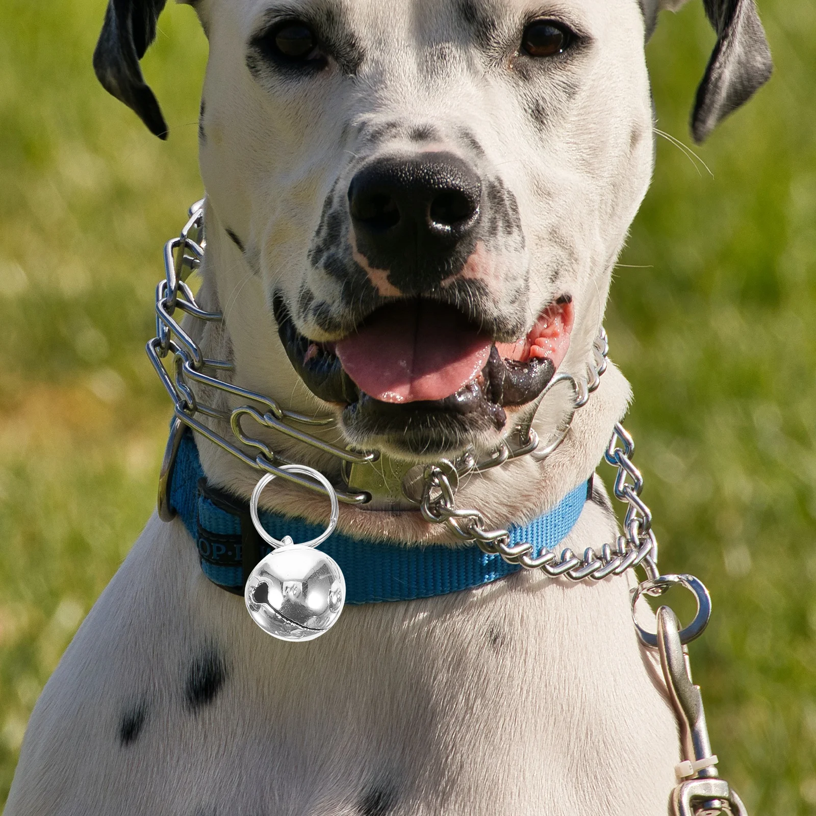 

6 Pcs Accessories for Cat Dog Collar Stainless Steel Small Bells Charm Pet Decor Multi Pet Bells Pendant Color