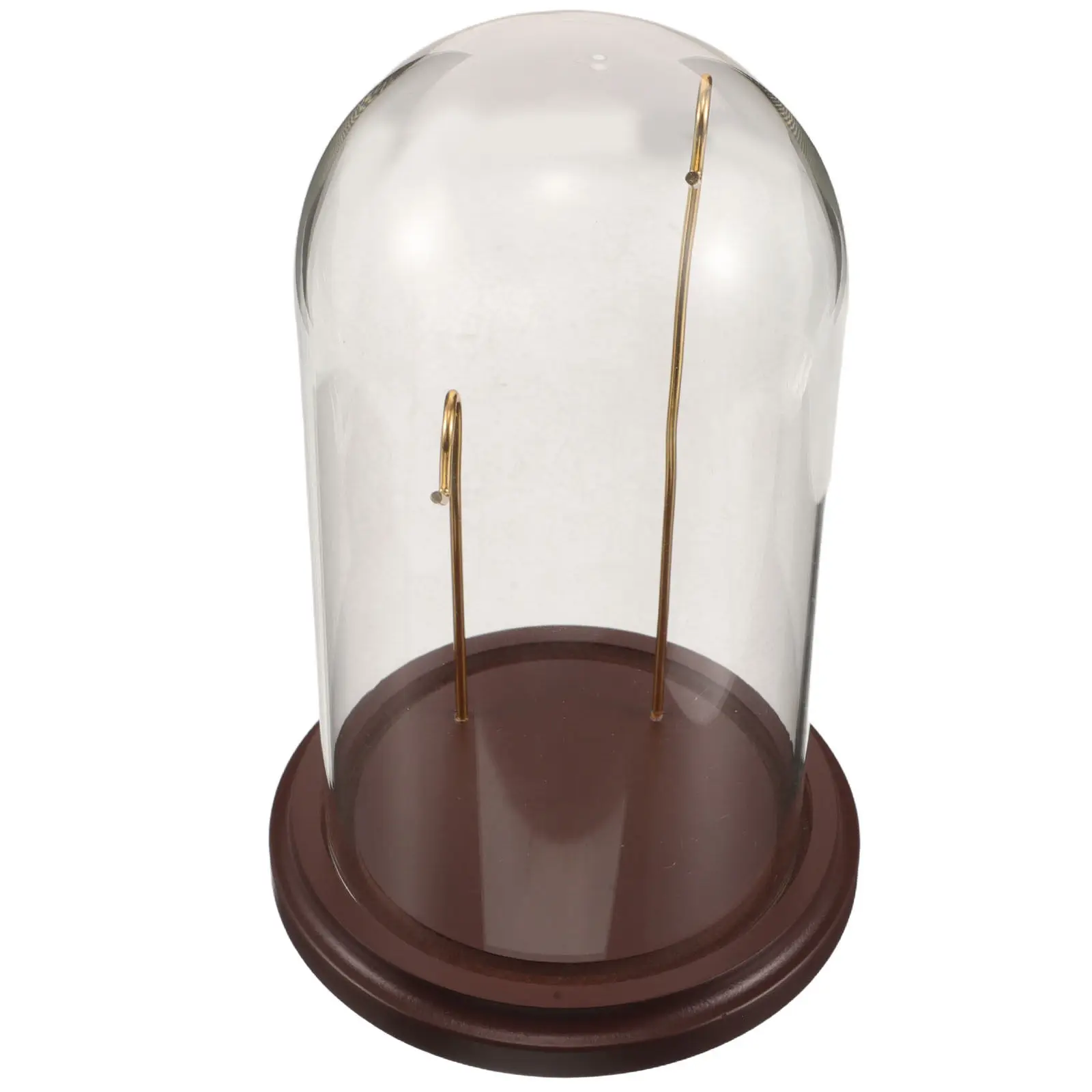 Clear Glass Dome Pocket Watch Display Case Cloche Wooden Base Dustproof Stand Organizer Showcase Holder Collection