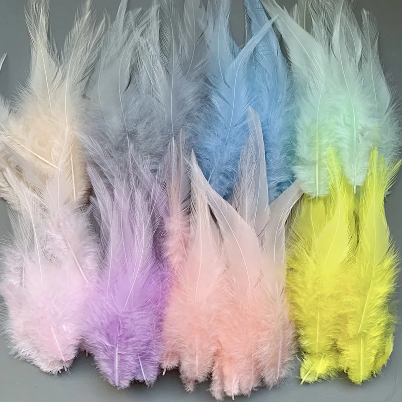 

Colorful Chicken Feathers 10-20 cm Natural Pointed Craft Feathers for DIY Dream Catcher Decoration Cat Toys