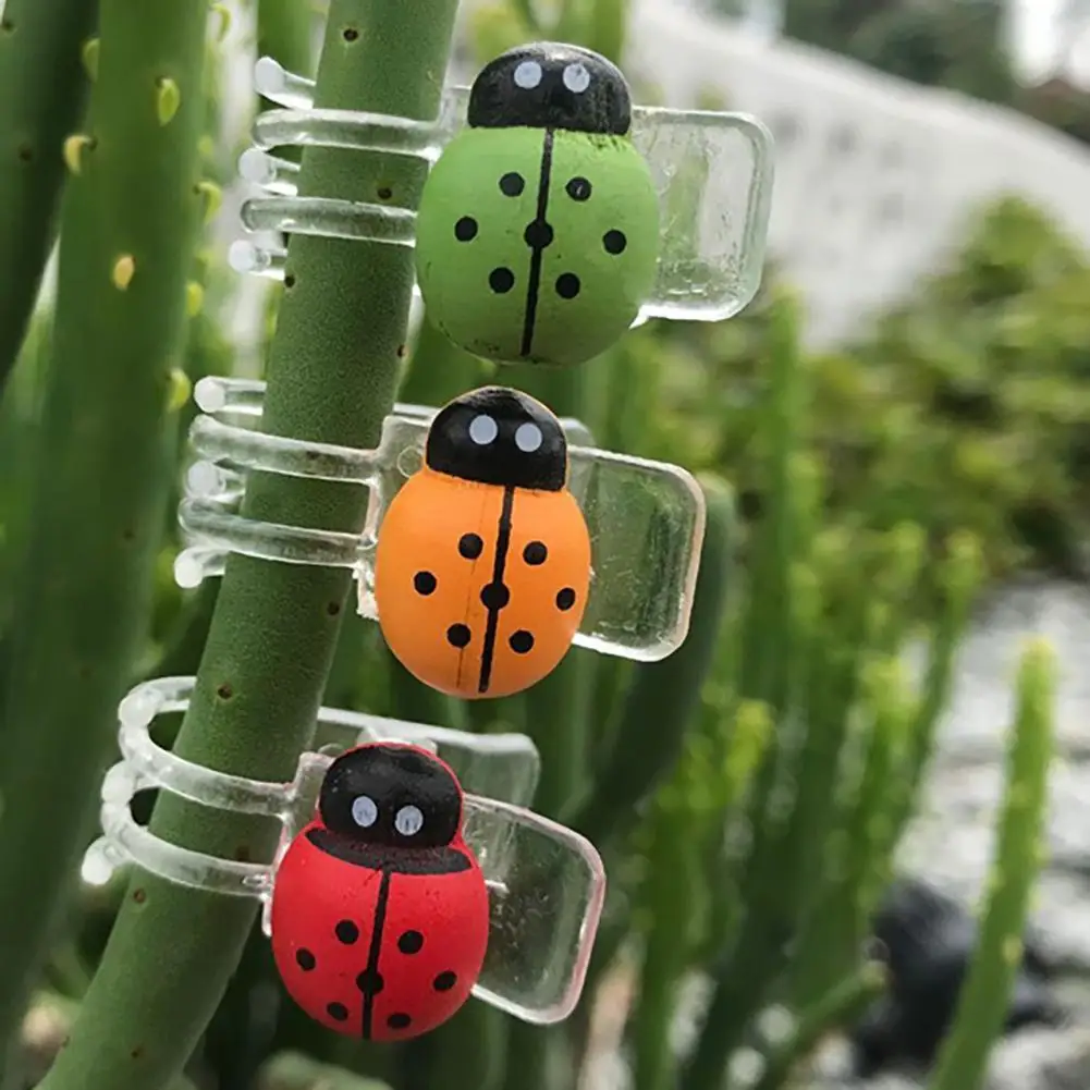 

30Pcs/Bag Orchid Stem Clip InsectsStrong Grip Plastic Multifunction Vine Plant Support Clip Orchid Clips Ladybug Plant Clips