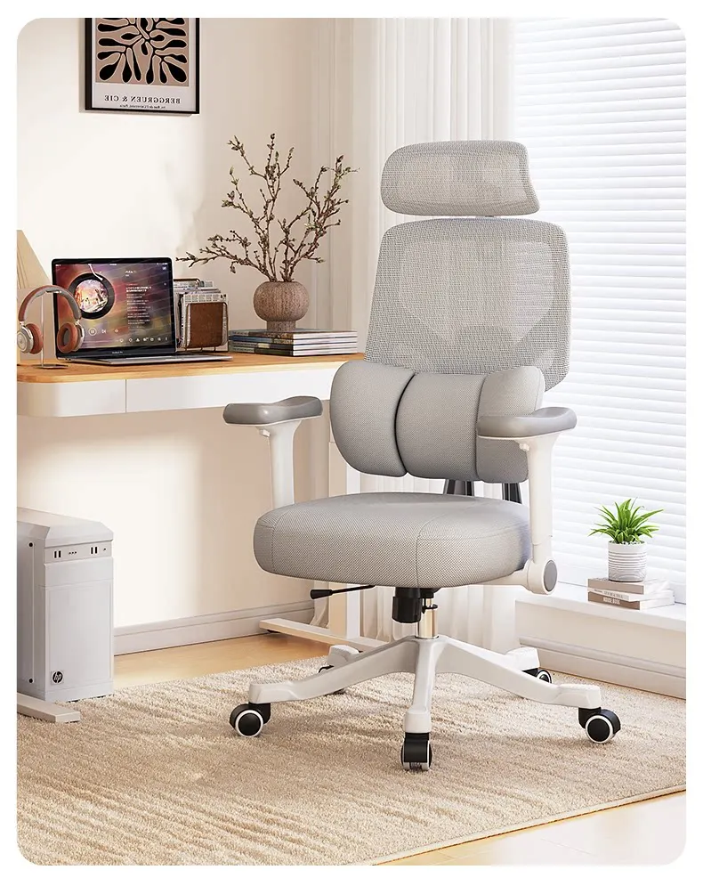 

Teen Study Chair Ergonomic Design Home Desk Chair for Students Writing Homework Comfortable Seat