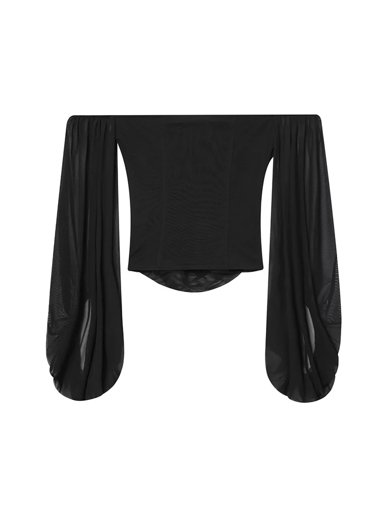 TFMLN Top con scollo a barchetta per donna Manica a sbuffo trasparente sottile sexy Elegante camicetta a maniche lunghe con spalle scoperte Abiti da festa chic femminili