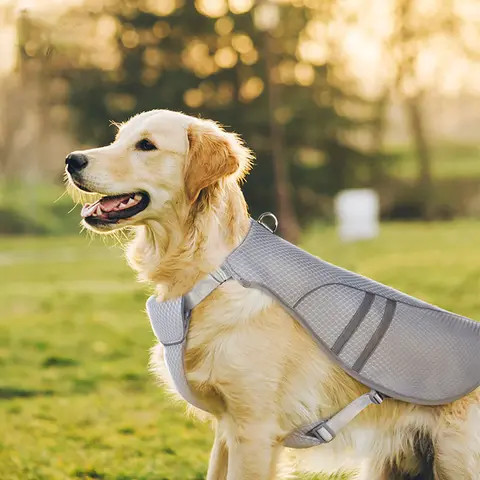 Dog Cooling Vest Lightweight Jacket with Evaporative Microfiber Technology Reflective Breathable No Pull Harness for Puppy Walk