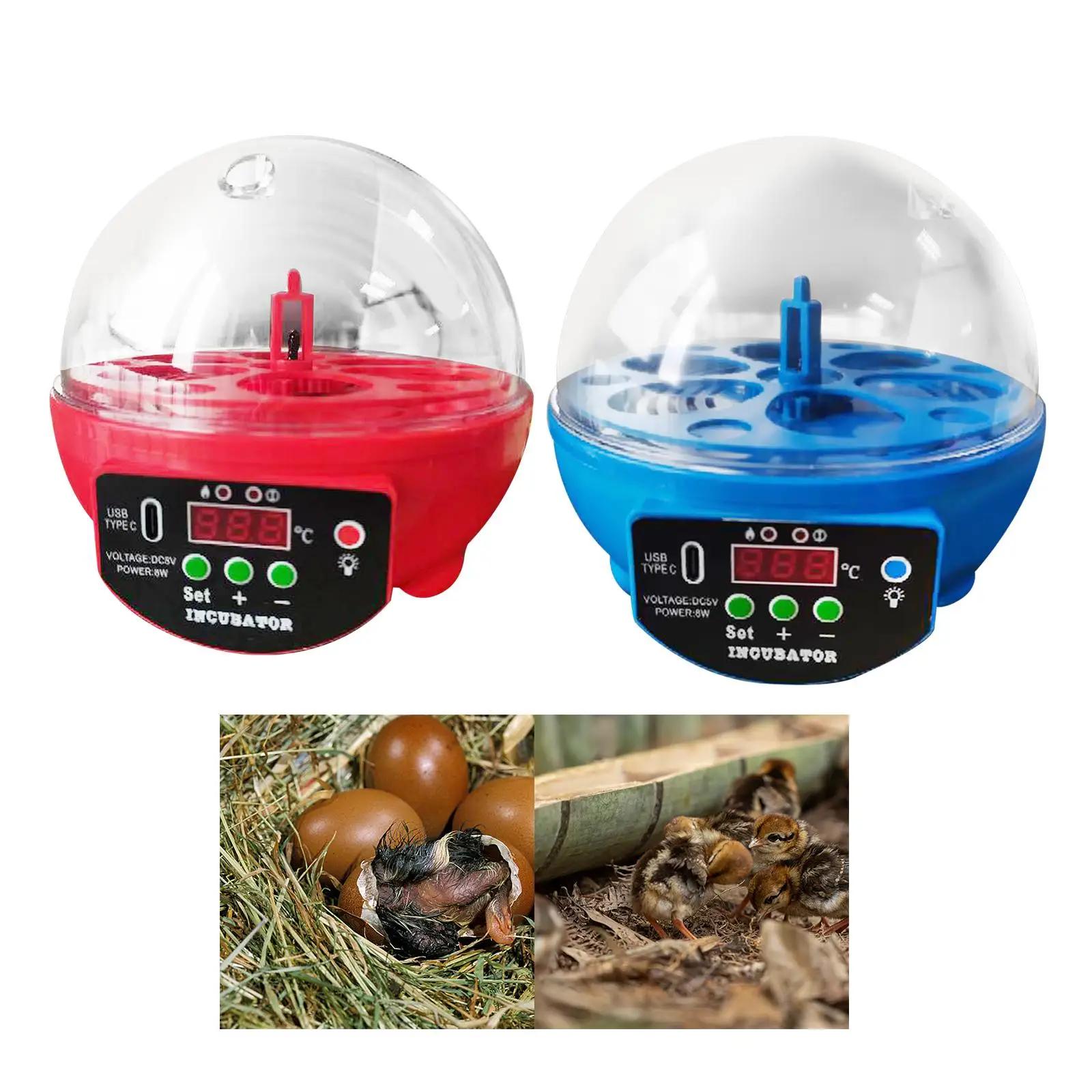 

USB Egg Incubator Automatic Chick Incubator with LED Light Egg Display Small Egg