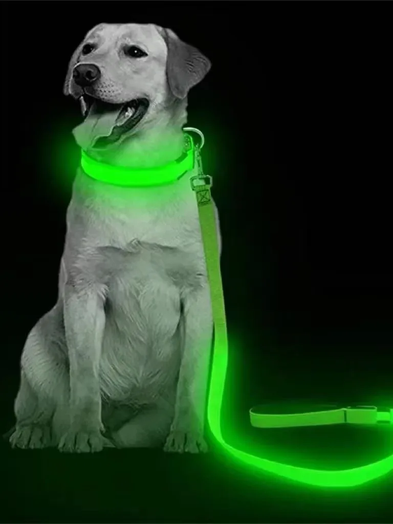 Laisse Led pour chien, corde avec lumière lumineuse, laisse en plomb, chargement USB pour la sécurité des chiens, clignotant, collier lumineux, accessoires de harnais