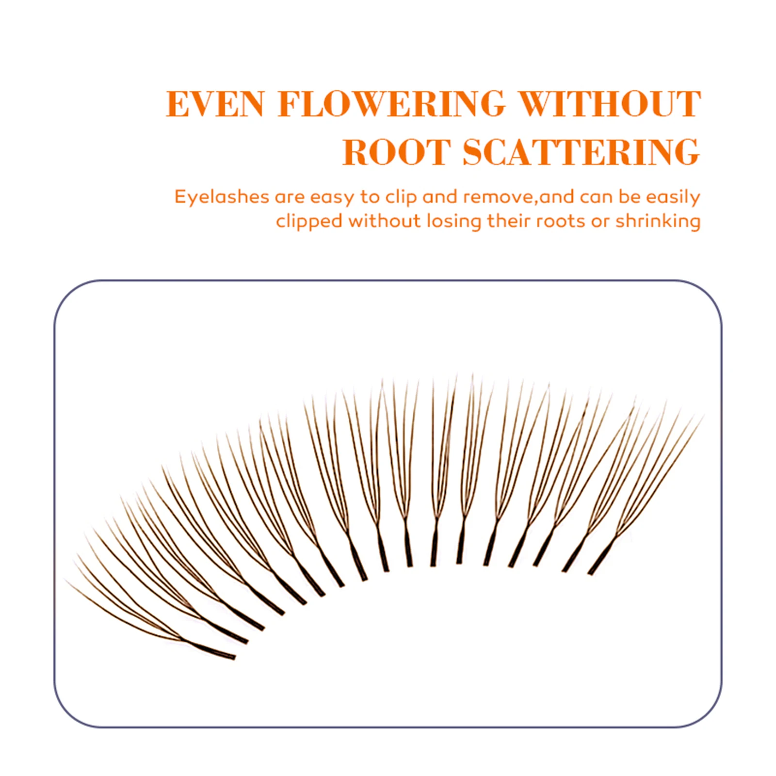DeceMars U-förmige 4D Braune W – Eyelash Extensions Classic Bewertung und Preis