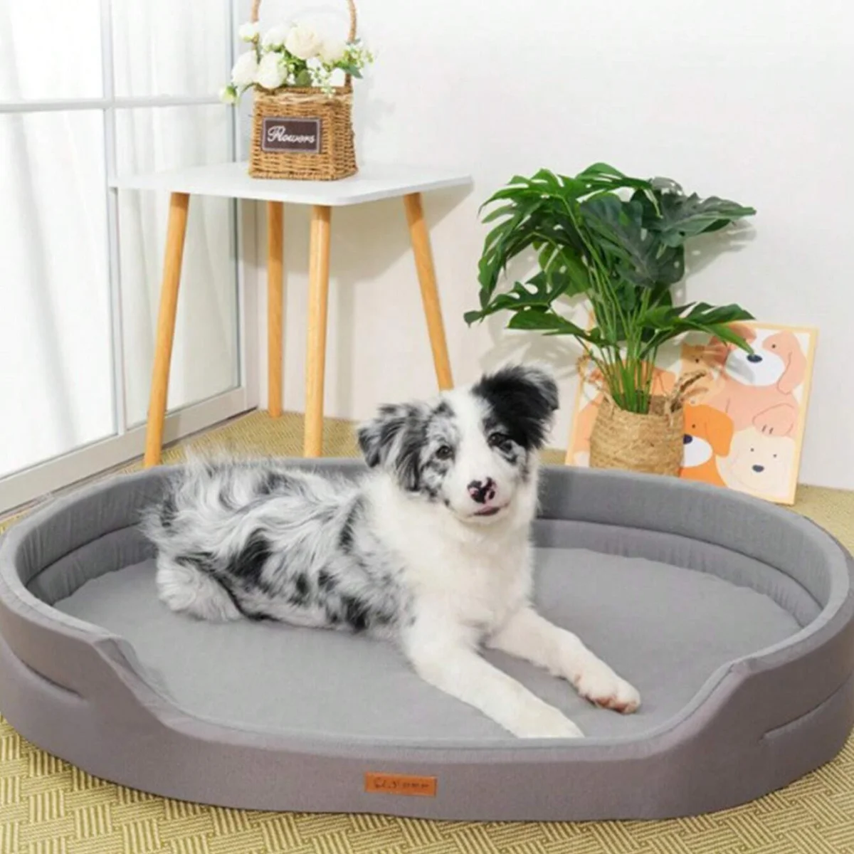 Waterproof and Wear-Resistant Sofa Beds for Dogs House Bed Cats Bed for Large Dogs Backrest Fossa With Pet Mat Puppy