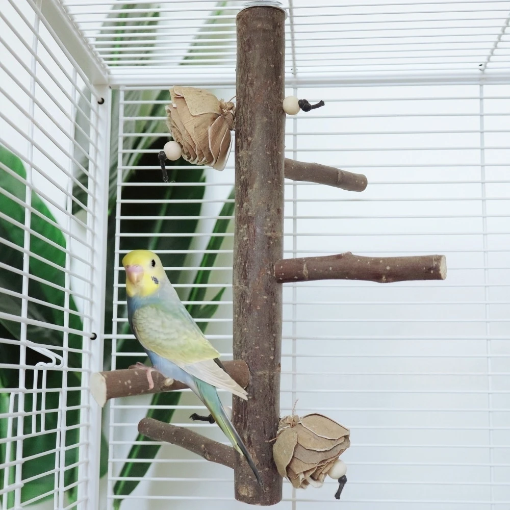 #26 Bird Perch Stands Comparison Guide