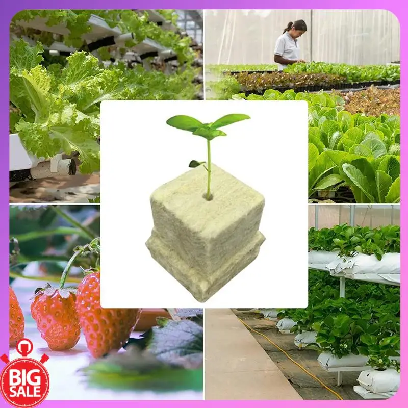صفقة كبيرة زراعة المائية كتلة متوسطة كتلة النبات مصفوفة بدون تربة البذر الصخور الصوف التوصيل صينية زراعة كتلة الشتلات