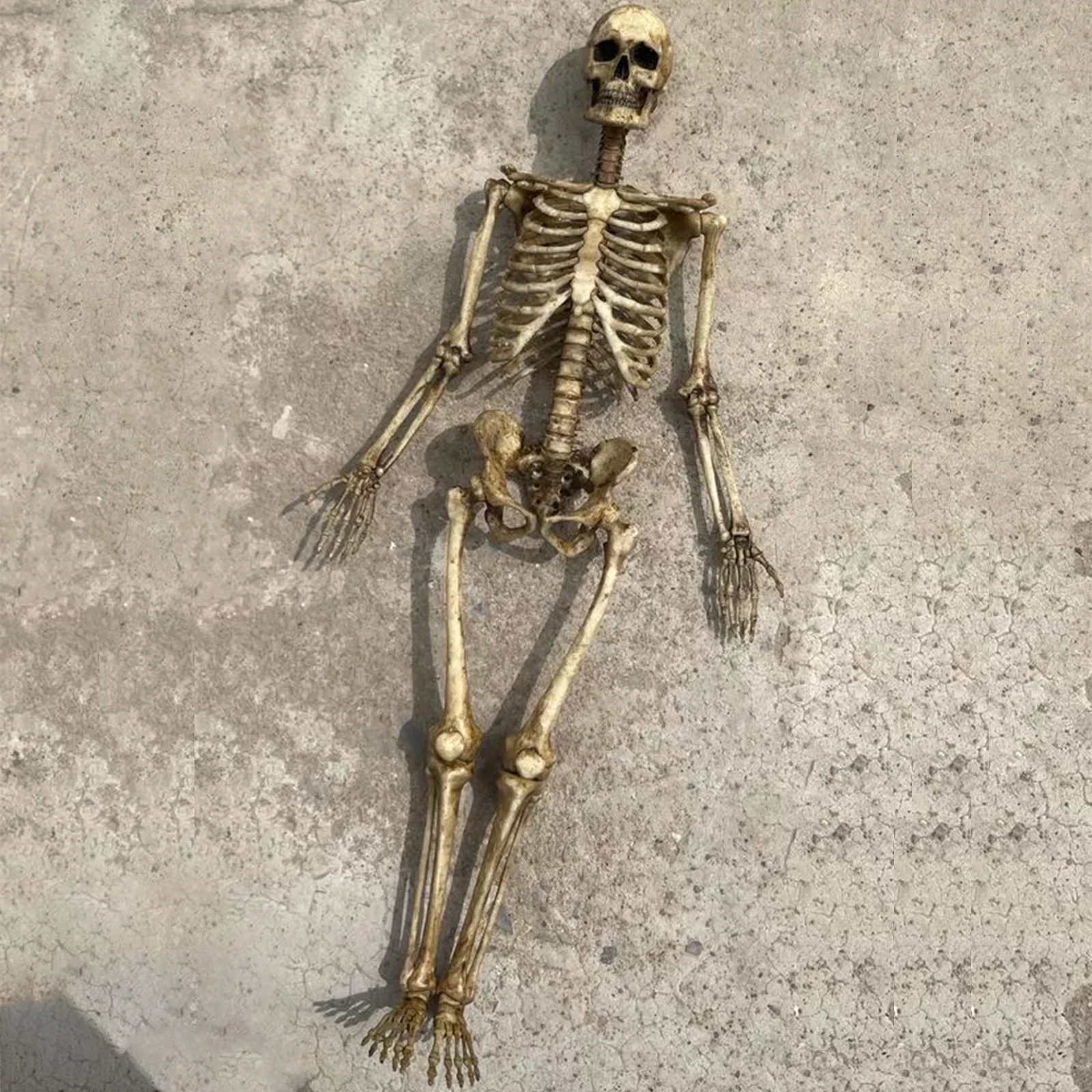 1 Set/1 PC Human Beings Skeleton PVC Model 1/12 Scale 7-Inch skull Action Figure Toys Handmade Model 3D simulation Accessories