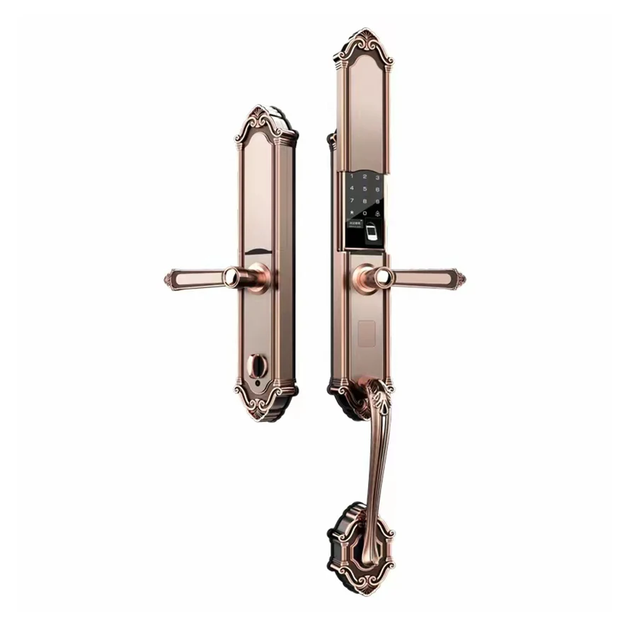 Luxury Intelligent Villa Door Lock Biometric Fingerprint Digital Keyless Smart Entry Gate Main Door Lock Set