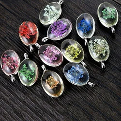 5pcs 32x18x10mm Hot sale Jewelry Crystal Glass Real Dried Flower Oval Style Necklace Pendant; Necklaces For Women -N7-02