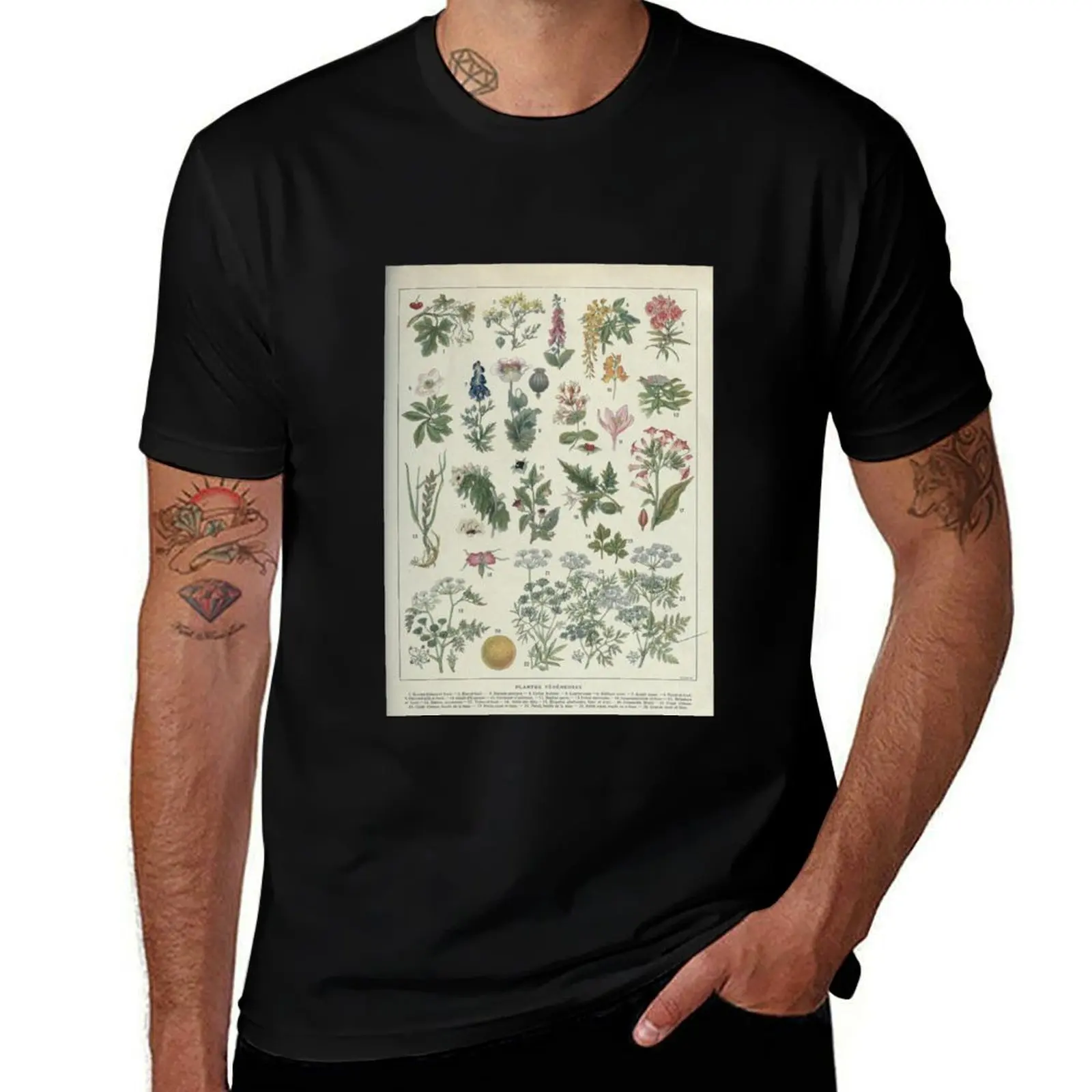 Poisonous plants, Plantes vénéneuses, Botanical illustration T-Shirt t shirt for man T-Shirt